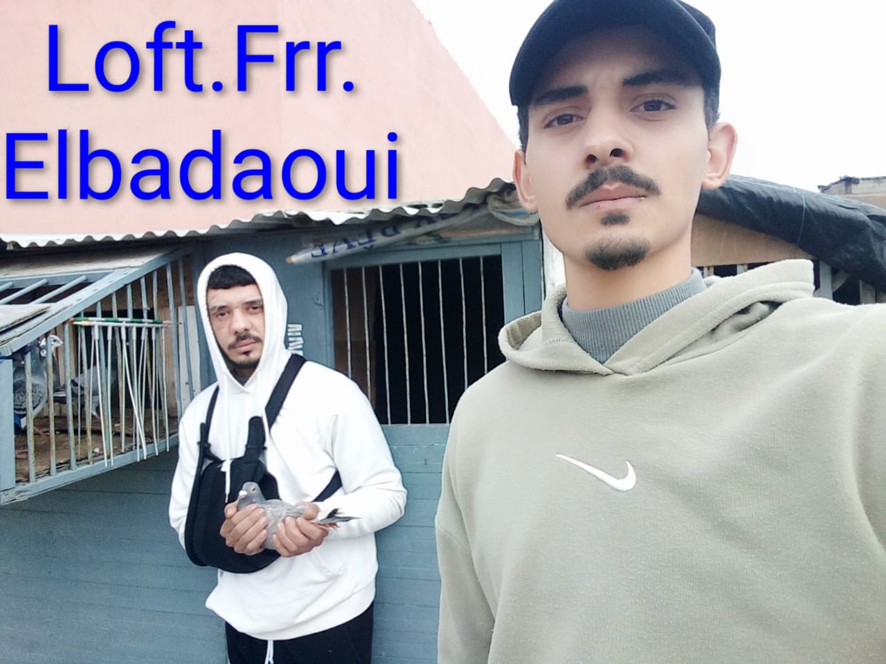 LOFT FRERE ELBADAWI