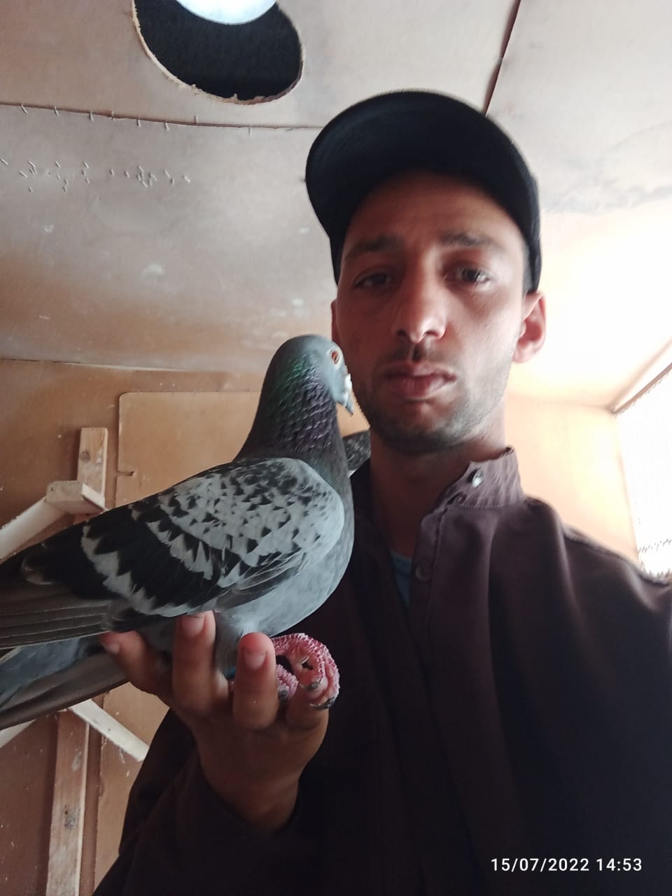 LOFT HAMZA LAABIED