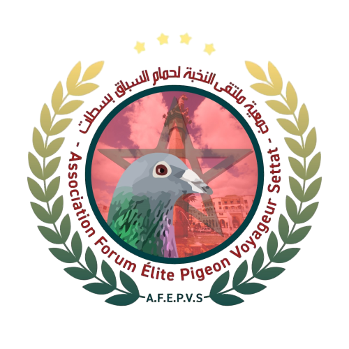 Association forum élite pigeon voyageur settat