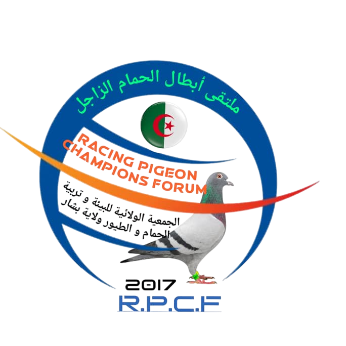 RACING PIGEON CHAMPIONS FORUM