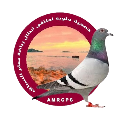 جمعية ملوية لملتقى أبطال رياضة حمام السباق