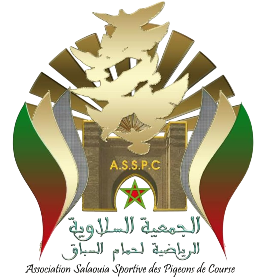 Association Salaouia Sportive des Pigeons de Course