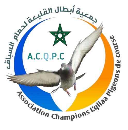 Association Champions L'qliaa Pigeons de course