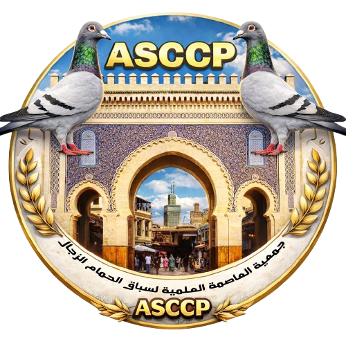 جمعية العاصمة العلمية لسباق الحمام الزاجل