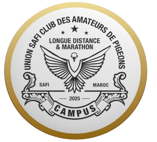 Union Safi Club des Amateurs de Pigeons Longue Distance & Marathon