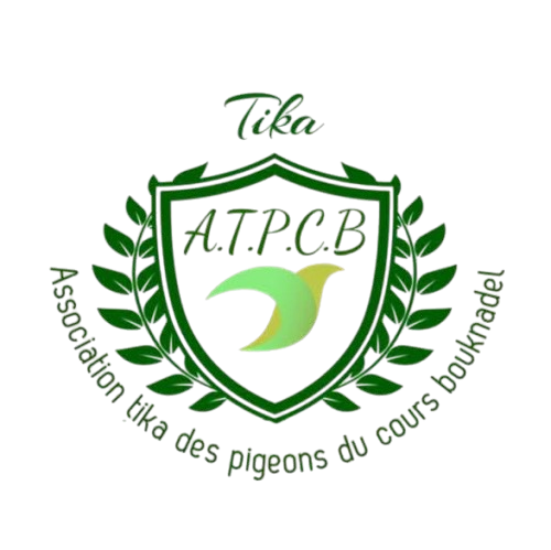 Association Tika des Pigeons du Cours Bouknadel