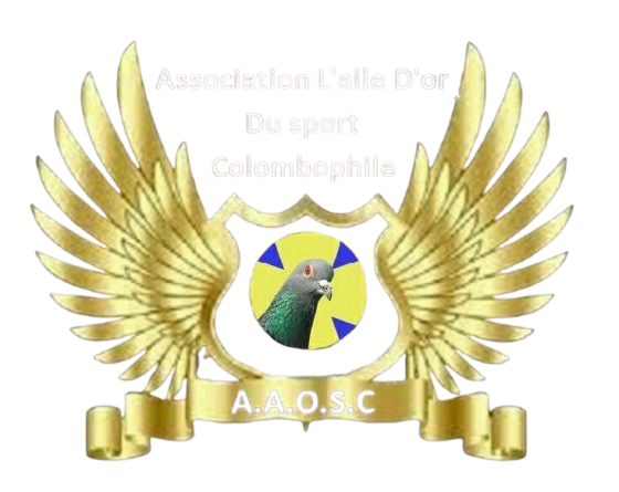 Association L'aile D'or Du sport Colombophile