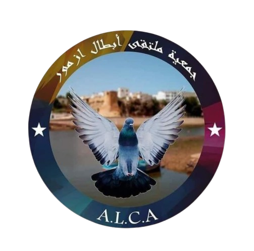 جمعية ملتقى أبطال ازمور